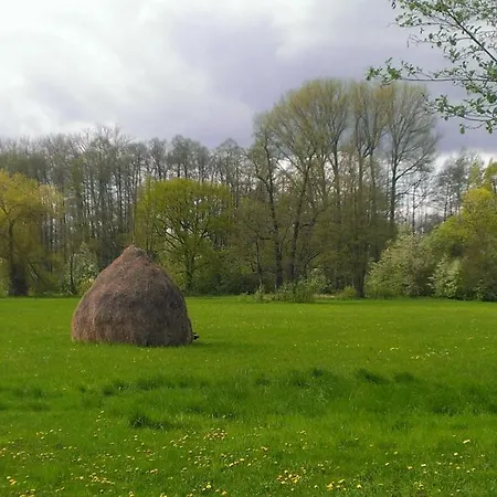 Bludnik Guest house *