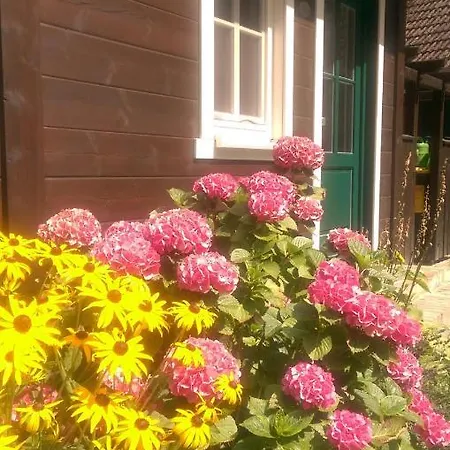 Bludnik Guest house *