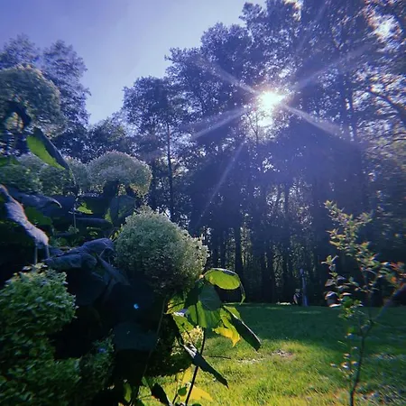 Maison d'hôtes Bludnik 4*